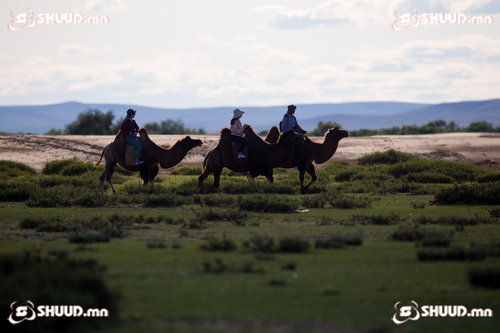 Иргэд: Дотоодод аялахаас илүү гадаадад аялах нь хямд байна